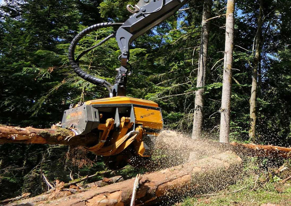 Large Tree Harvesters Excavator Tree Cutter For Forest Farm
